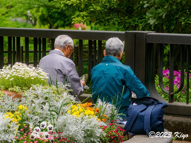 O4221132-ORF_DxO_DeepPRIMEXD_CameraRAW2_signed.jpg