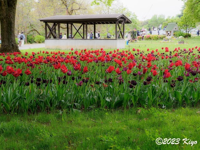 O4221180-ORF_DxO_DeepPRIMEXD_CameraRAW2_signed.jpg