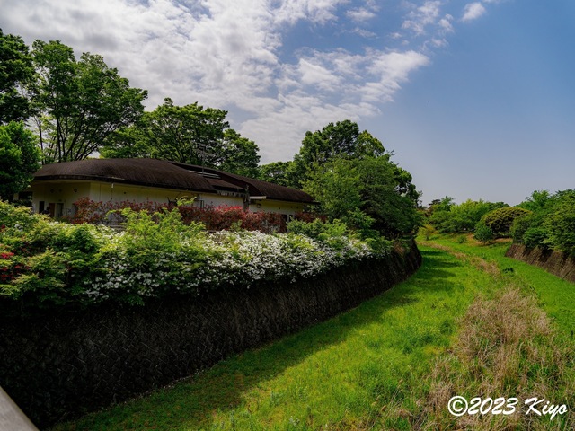 O4221207-ORF_DxO_DeepPRIMEXD_CameraRAW2_signed.jpg