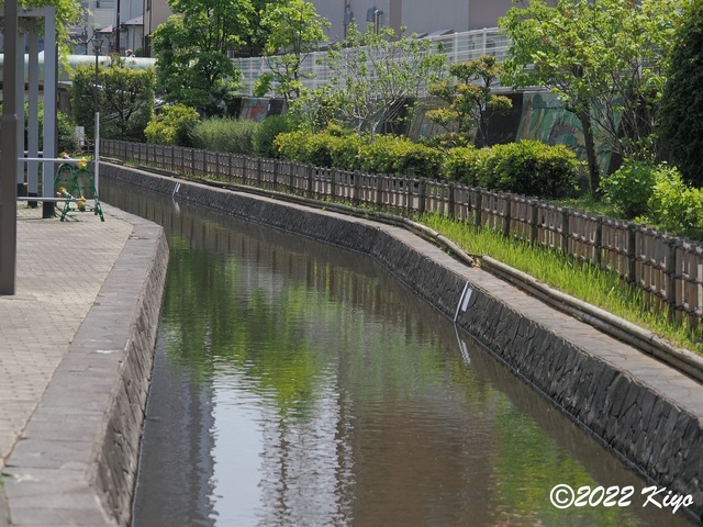 O5051364_signed.jpg