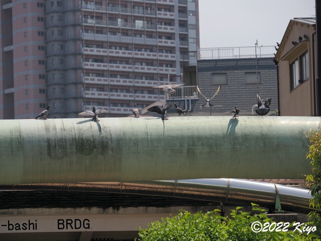 O5051374_signed.jpg