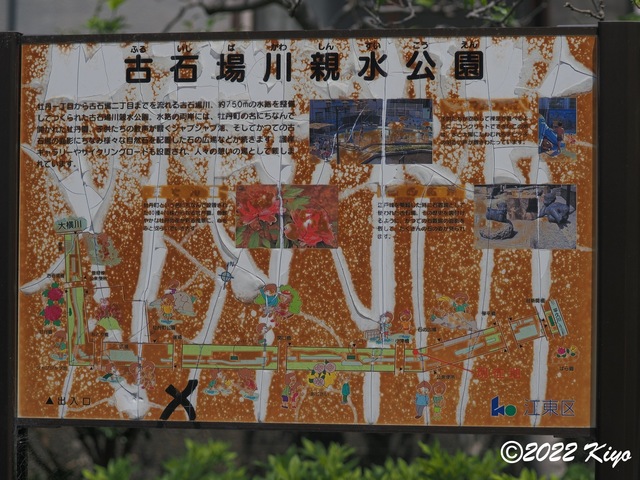 O5051397_signed.jpg