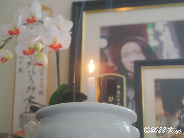 O5111513_signed.jpg