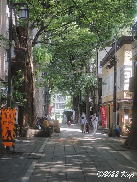 O6041609_developed_signed.jpg