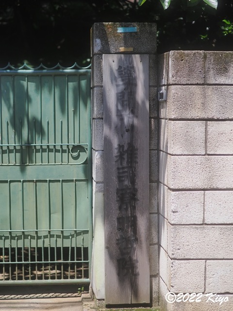 O6041625_developed_signed.jpg