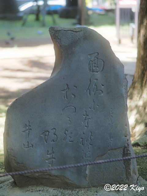 O6041671_developed_signed.jpg