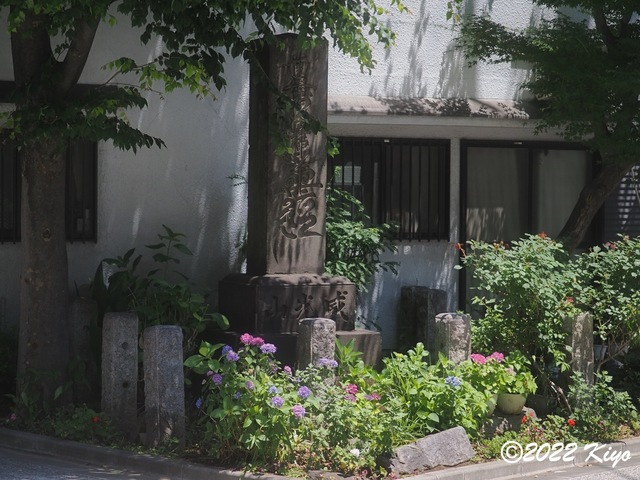 O6041750_developed_signed.jpg