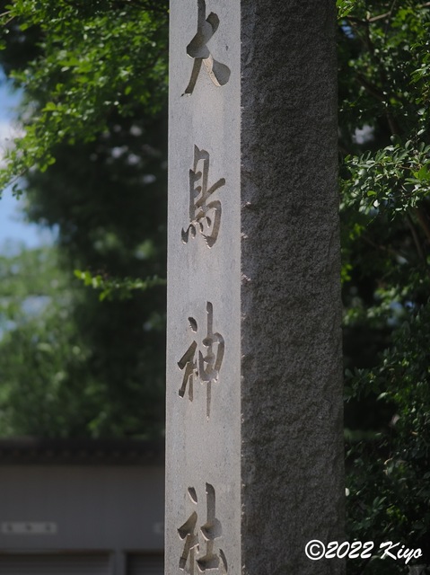 O6041792_developed_signed.jpg