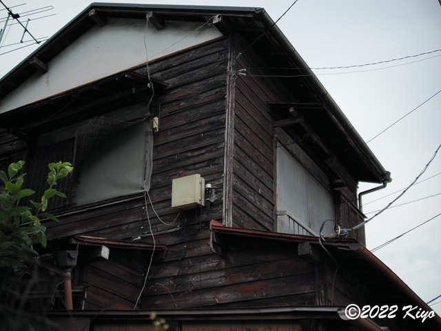 O7031925_signed.jpg