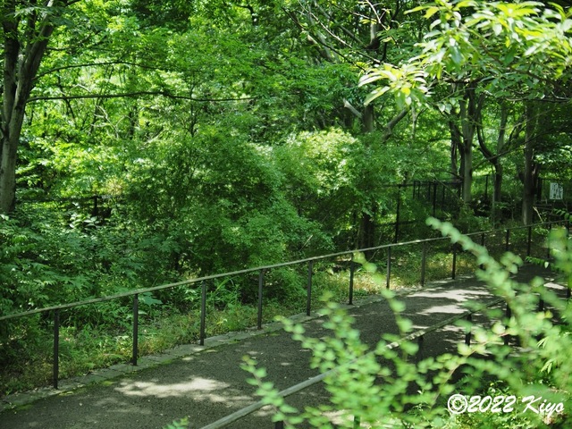 O7032089_developed_signed.jpg