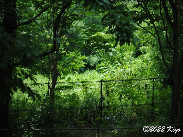 O7032090_developed_signed.jpg