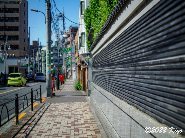 O7102131-ORF_DxO_DeepPRIME_CameraRAW_signed.jpg