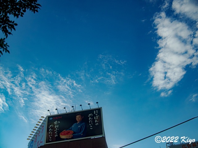 O7232354-ORF_DxO_DeepPRIME_CameraRAW_signed.jpg