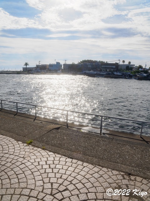 O7242501-ORF_DxO_DeepPRIME_CameraRAW_signed.jpg