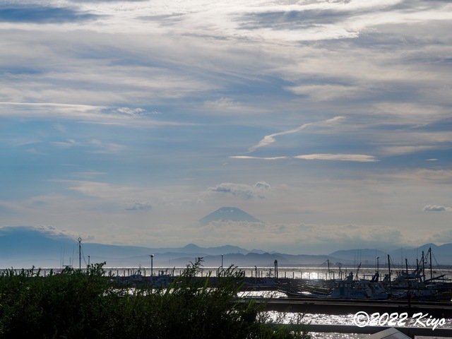 O7242591-ORF_DxO_DeepPRIME_CameraRAW_signed.jpg