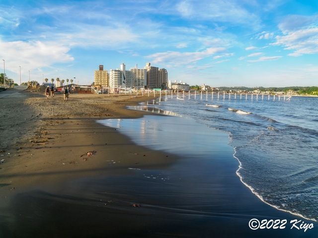 O7242906-ORF_DxO_DeepPRIME_CameraRAW_signed.jpg