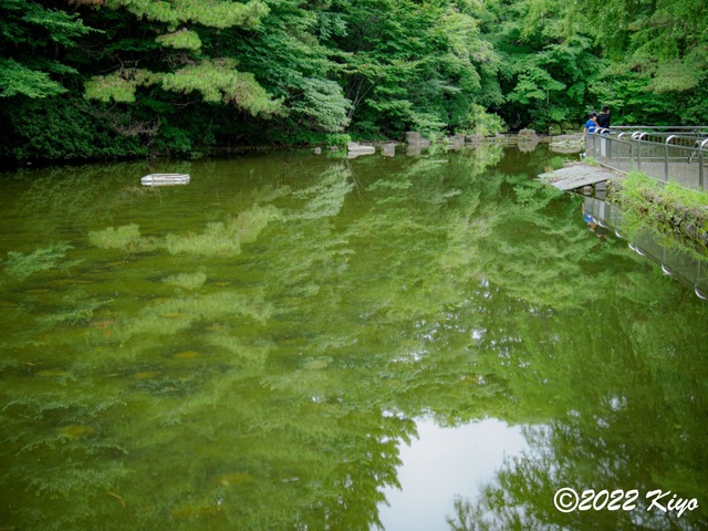 O8053230-ORF_DxO_DeepPRIME_CameraRAW_signed.jpg