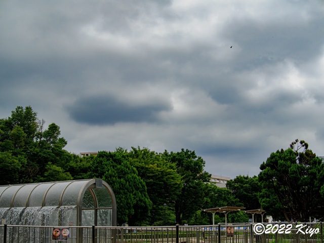 O8053243-ORF_DxO_DeepPRIME_CameraRAW_signed.jpg