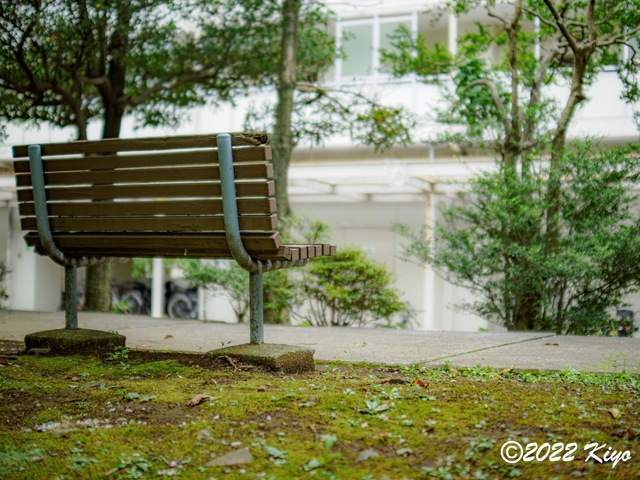 O8053250-ORF_DxO_DeepPRIME_CameraRAW_signed.jpg
