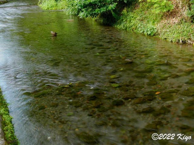 O8203662-ORF_DxO_DeepPRIME_CameraRAW_signed.jpg