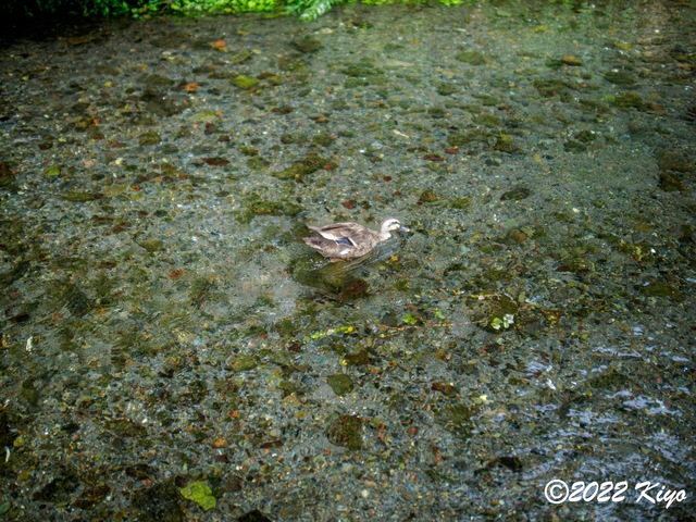 O8203666-ORF_DxO_DeepPRIME_CameraRAW_signed.jpg