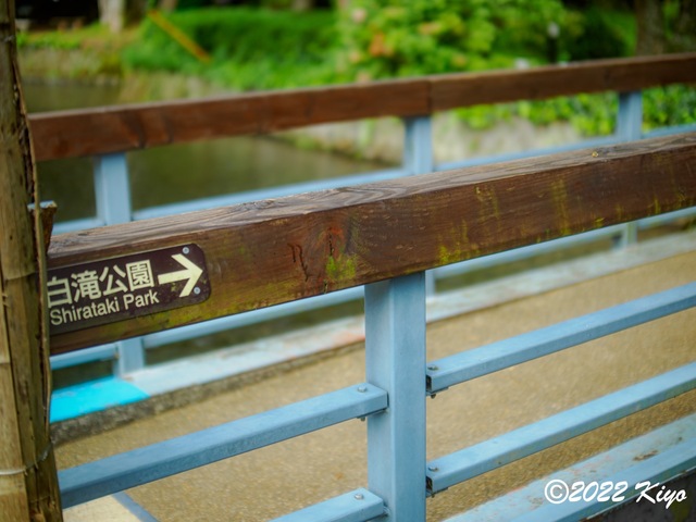 O8203671-ORF_DxO_DeepPRIME_CameraRAW_signed.jpg