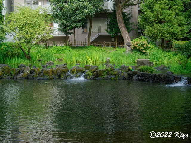 O8203675-ORF_DxO_DeepPRIME_CameraRAW_signed.jpg