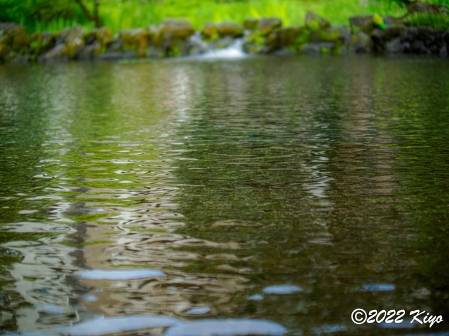 O8203685-ORF_DxO_DeepPRIME_CameraRAW_signed.jpg