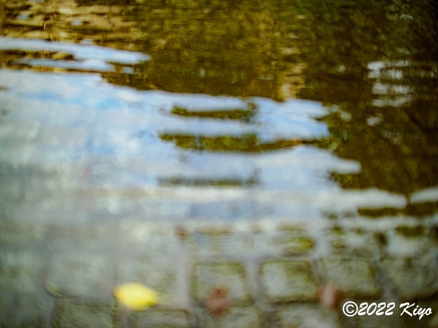 O8203691-ORF_DxO_DeepPRIME_CameraRAW_signed.jpg
