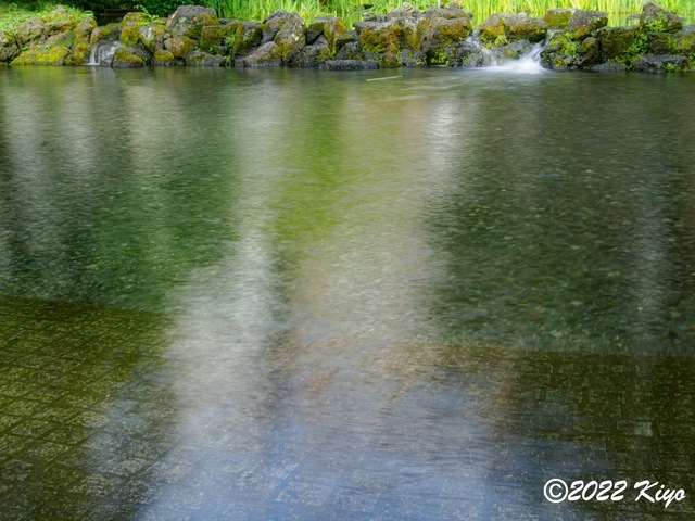 O8203708-ORF_DxO_DeepPRIME_CameraRAW_signed.jpg
