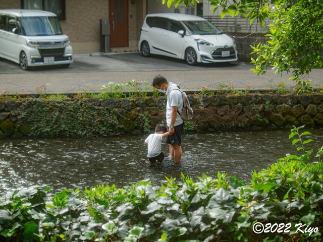 O8203709-ORF_DxO_DeepPRIME_CameraRAW_signed.jpg