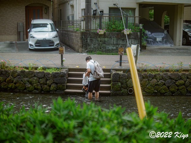 O8203713-ORF_DxO_DeepPRIME_CameraRAW_signed.jpg