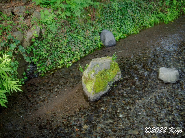 O8203720-ORF_DxO_DeepPRIME_CameraRAW_signed.jpg