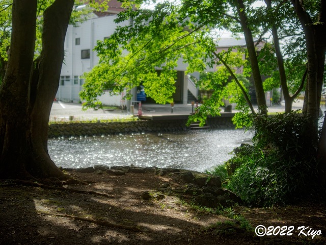 O8203723-ORF_DxO_DeepPRIME_CameraRAW_signed.jpg
