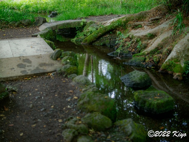 O8203734-ORF_DxO_DeepPRIME_CameraRAW_signed.jpg