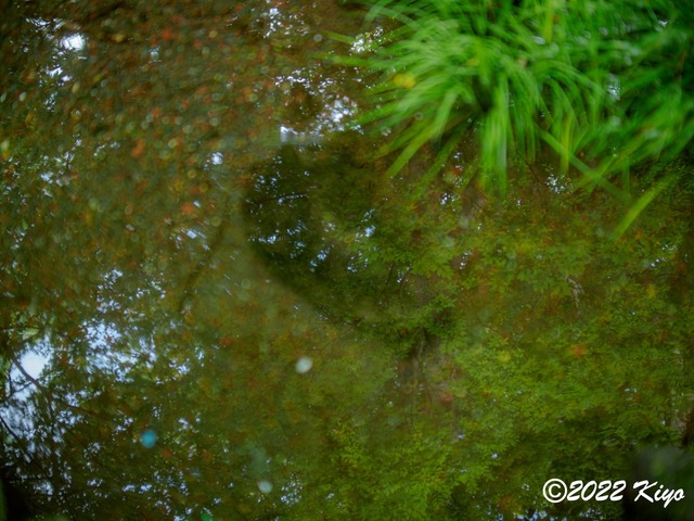 O8203738-ORF_DxO_DeepPRIME_CameraRAW_signed.jpg