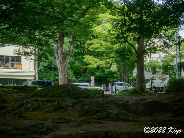 O8203744-ORF_DxO_DeepPRIME_CameraRAW_signed.jpg