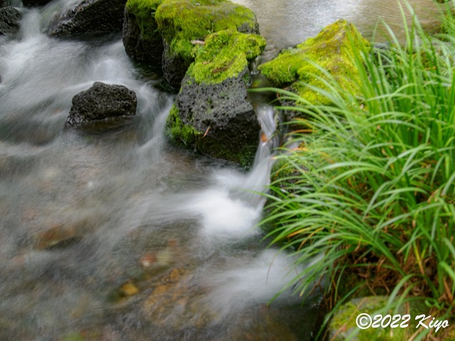 O8203760-ORF_DxO_DeepPRIME_CameraRAW_signed.jpg