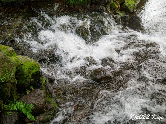 O8203776-ORF_DxO_DeepPRIME_CameraRAW_signed.jpg