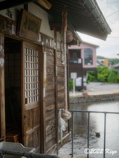 O8203780-ORF_DxO_DeepPRIME_CameraRAW_signed.jpg