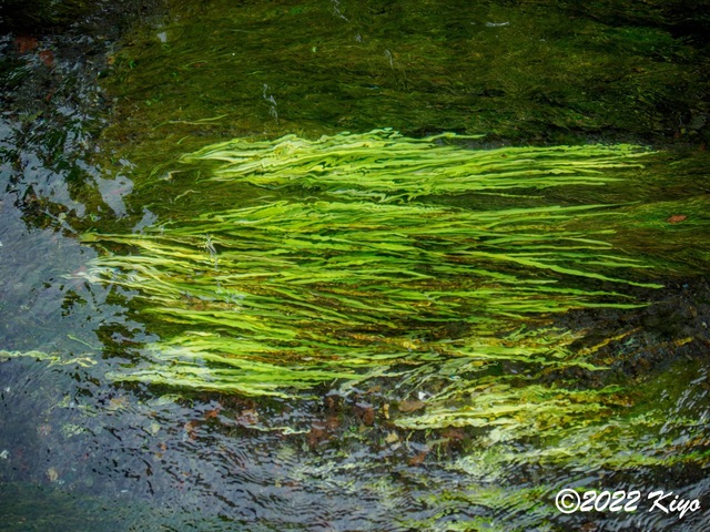 O8203792-ORF_DxO_DeepPRIME_CameraRAW_signed.jpg