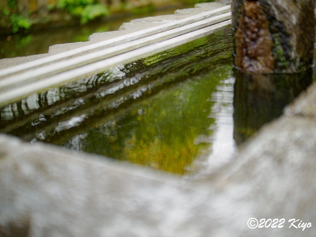 O8203798-ORF_DxO_DeepPRIME_CameraRAW_signed.jpg