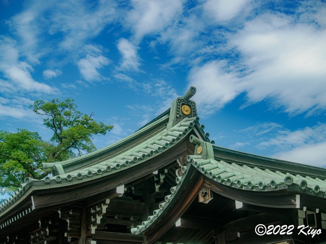 O8203844-ORF_DxO_DeepPRIME_CameraRAW_signed.jpg