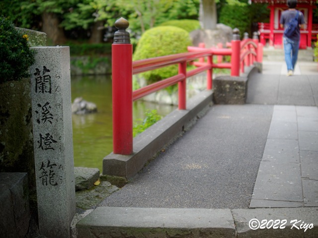 O8203851-ORF_DxO_DeepPRIME_CameraRAW_signed.jpg