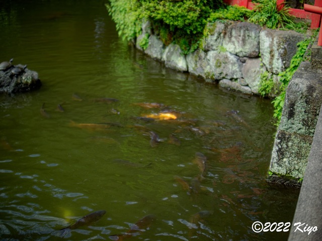 O8203858-ORF_DxO_DeepPRIME_CameraRAW_signed.jpg