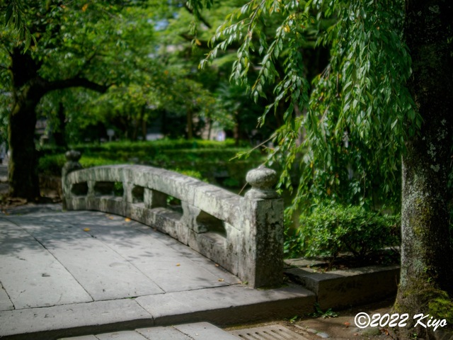 O8203861-ORF_DxO_DeepPRIME_CameraRAW_signed.jpg