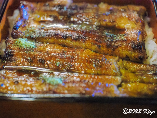O8203923-ORF_DxO_DeepPRIME_CameraRAW_signed.jpg