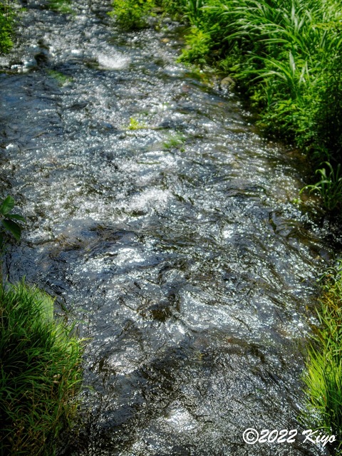 O8203947-ORF_DxO_DeepPRIME_CameraRAW_signed.jpg