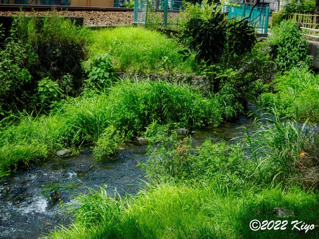 O8203948-ORF_DxO_DeepPRIME_CameraRAW_signed.jpg