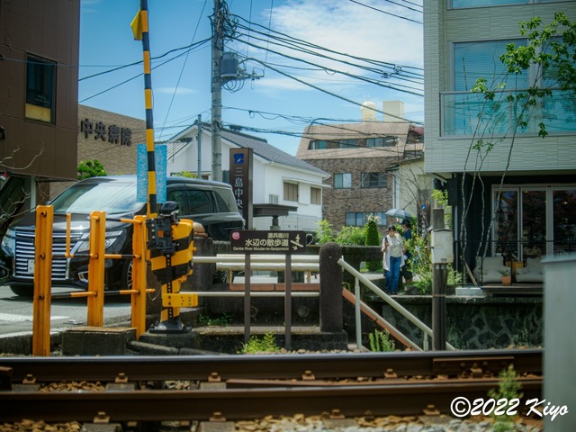 O8203950-ORF_DxO_DeepPRIME_CameraRAW_signed.jpg